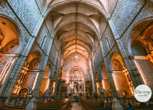 Rome with Kids: The Best Family-Friendly Colosseum & Vatican Tours