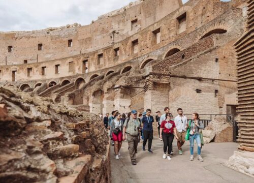 Colosseum Arena Floor: Budget vs Premium Upgrade